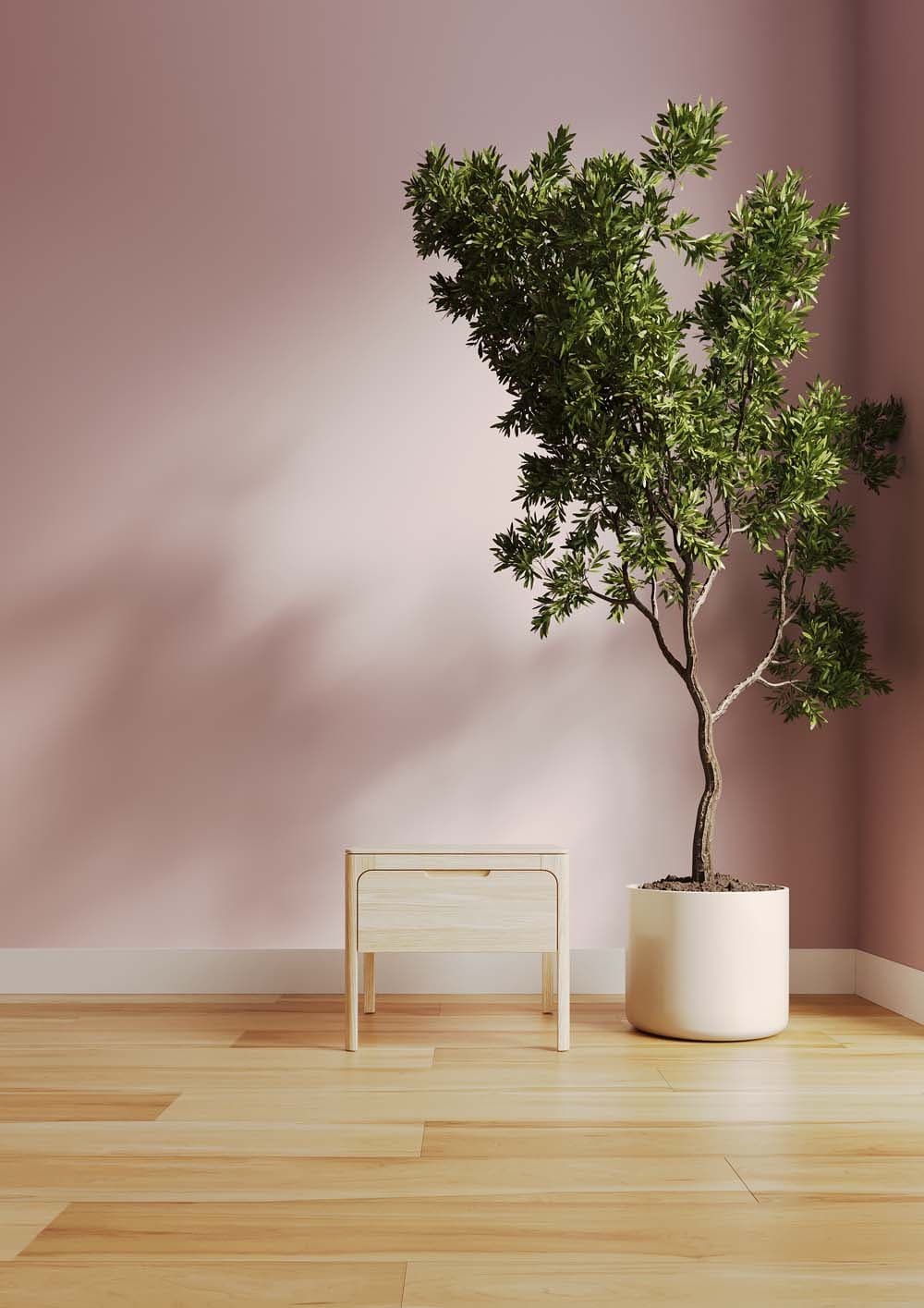 White Oak